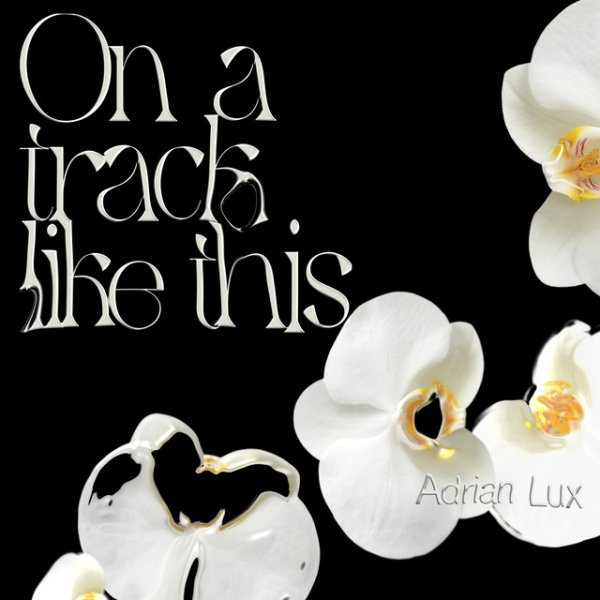 Album Adrian Lux - On a Track Like This