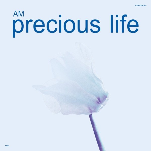 AM Precious Life, 2016