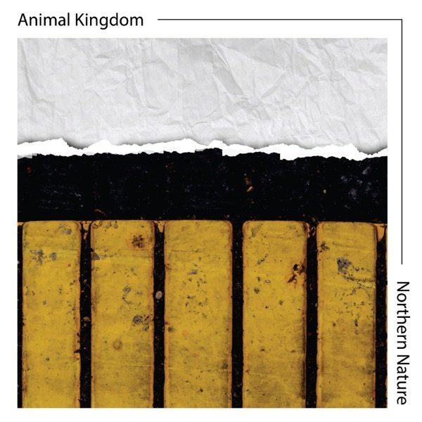 Album Animal Kingdom - Northern Nature