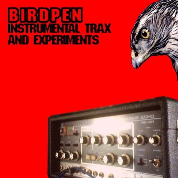 Album Birdpen - Instrumental Trax And Experiments