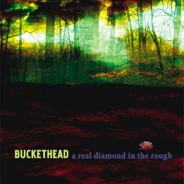 Album Buckethead - A Real Diamond in the Rough