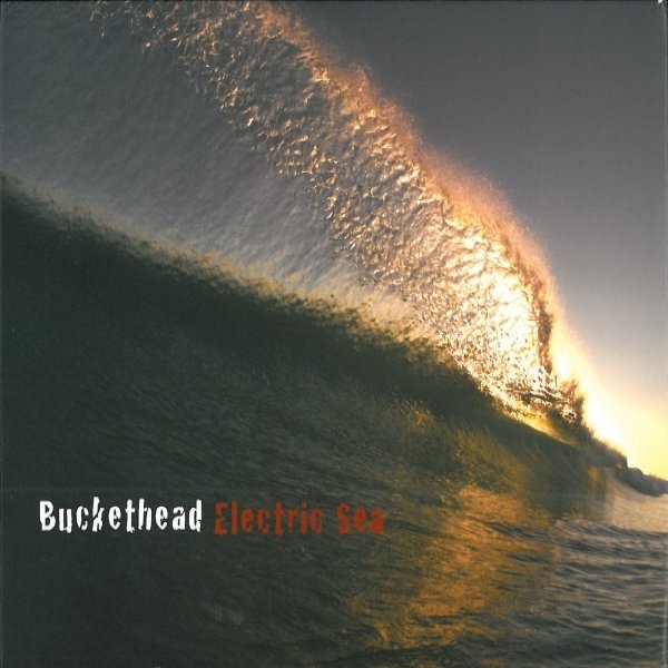 Buckethead Electric Sea, 2012
