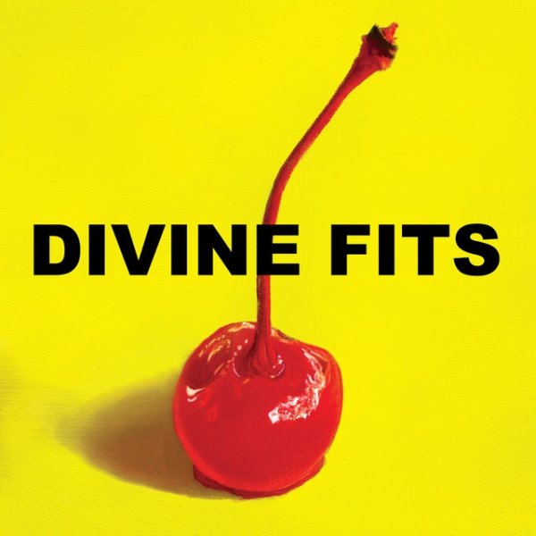 Album Divine Fits - A Thing Called Divine Fits