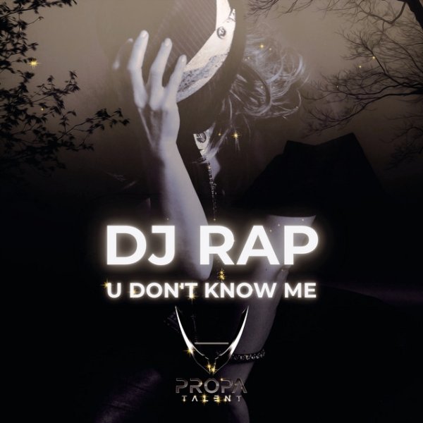 Album DJ Rap - U Don