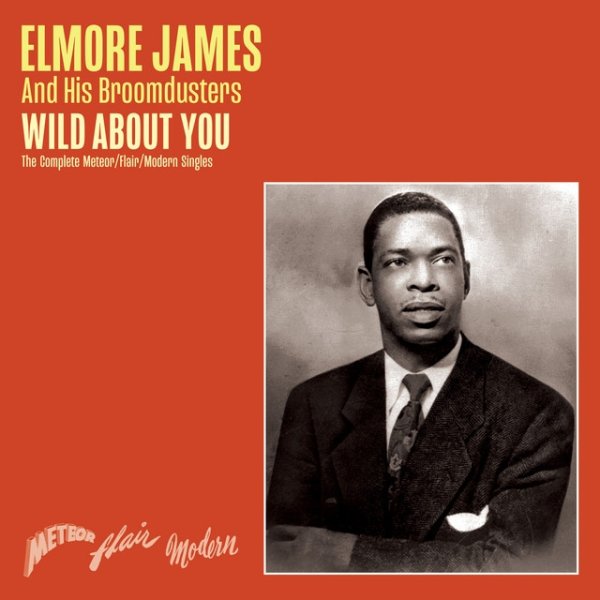 Album Elmore James - Wild About You - The Complete Meteor/Flair/Modern Singles