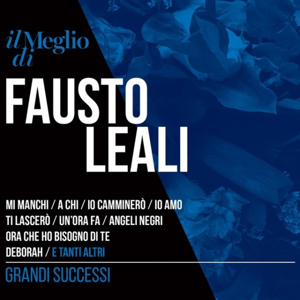 Album Fausto Leali - Il Meglio Di Fausto Leali: Grandi Successi