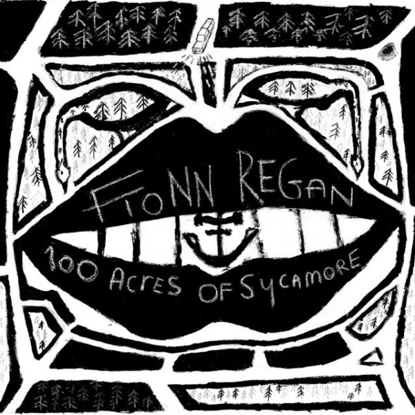 Album Fionn Regan - 100 Acres of Sycamore