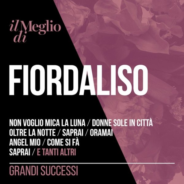 Album Fiordaliso - Il Meglio Di Fiordaliso: Grandi Successi