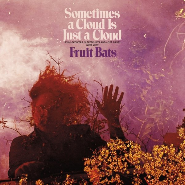 Album Fruit Bats - Sometimes a Cloud Is Just a Cloud: Slow Growers, Sleeper Hits and Lost Songs (2001–2021)