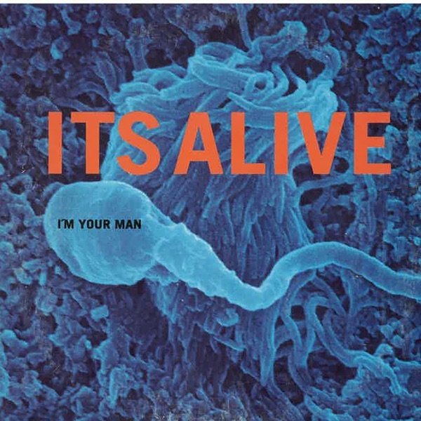 It's Alive I'm Your Man, 2019