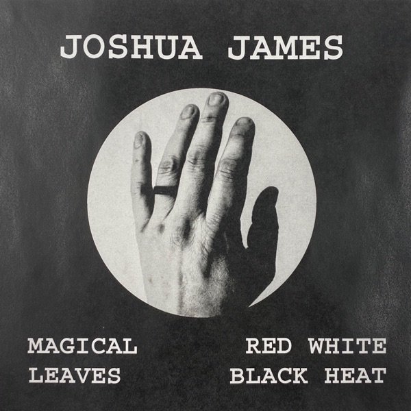 Joshua James Magical Leaves Red White Black Heat, 2019