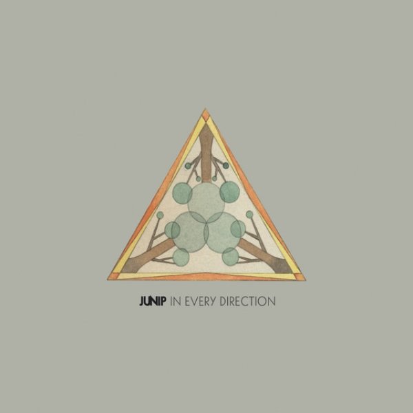 Album Junip - In Every Direction