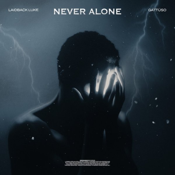 Album Laidback Luke - Never Alone