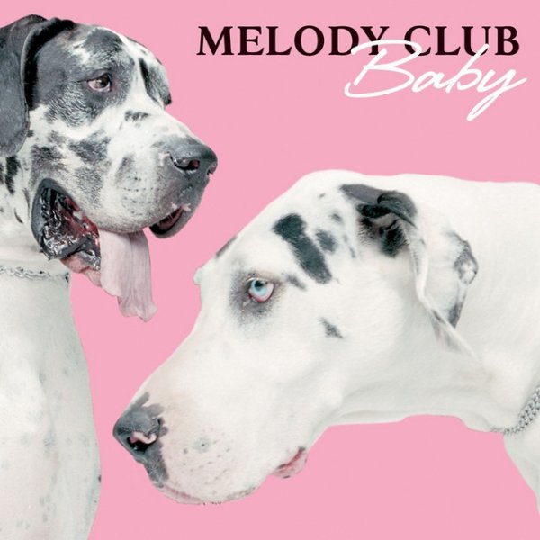 Album Melody Club - Baby (Stand Up)