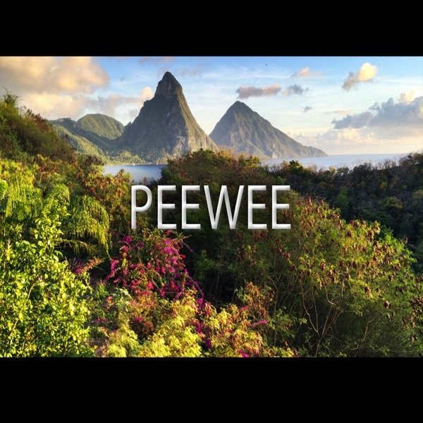 Album Pee Wee - Peewee