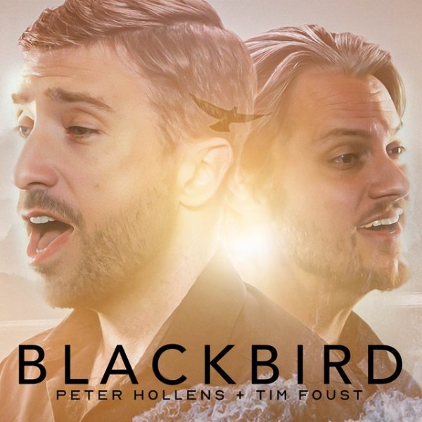 Album Peter Hollens - Blackbird
