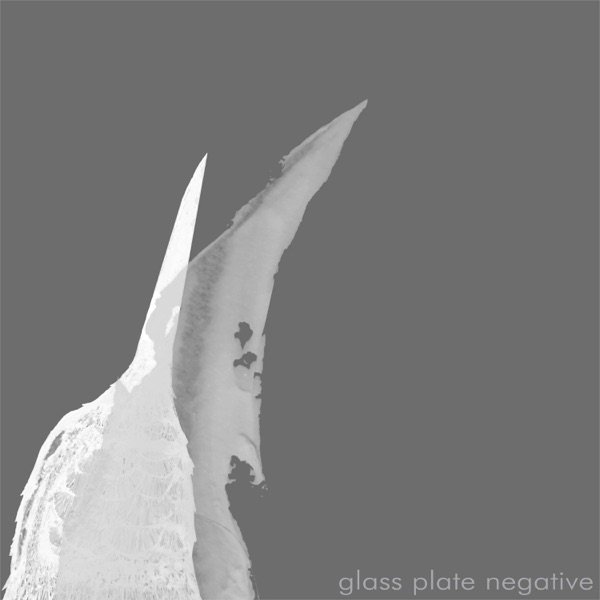 Album Raised By Swans - Glass Plate Negative