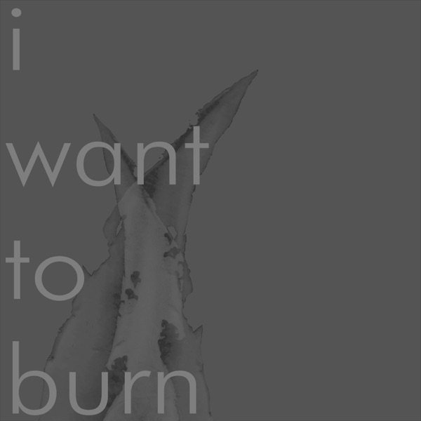 I Want To Burn - album