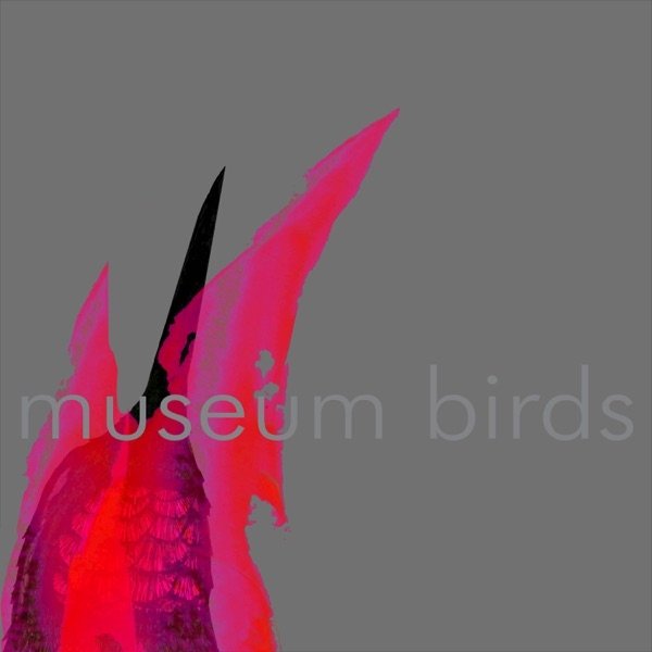Museum Birds - album