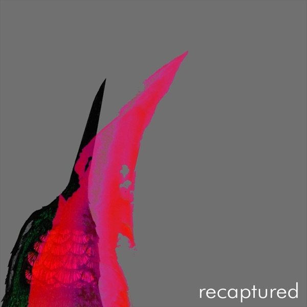 Album Raised By Swans - Recaptured