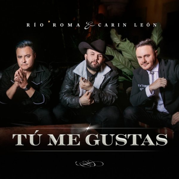 Tú Me Gustas - album