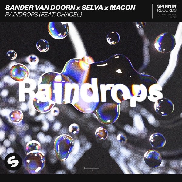 Album Sander Van Doorn - Raindrops