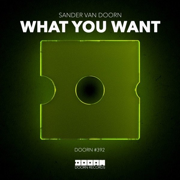 Album What You Want - Sander Van Doorn