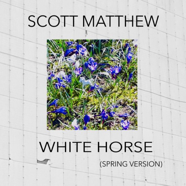 Scott Matthew White Horse, 2021