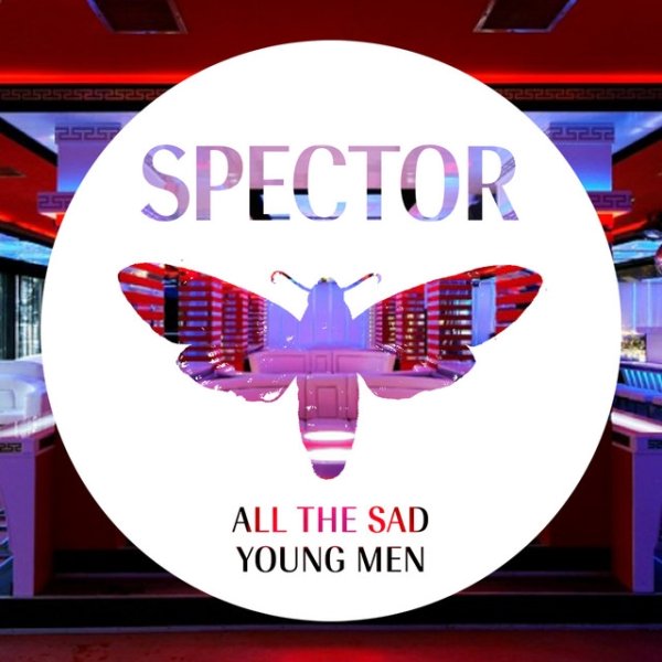 Album Spector - All The Sad Young Men