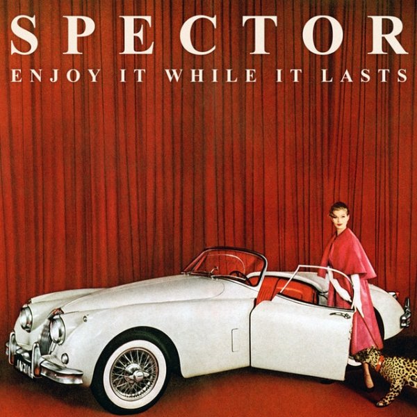 Album Spector - Enjoy It While It Lasts