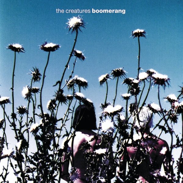 Album The Creatures - Boomerang