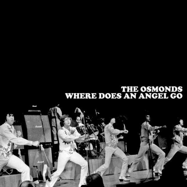 The Osmonds Where Does An Angel Go, 2008