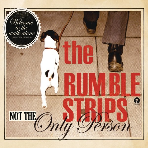 Album The Rumble Strips - Not The Only Person