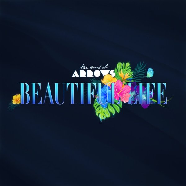 Beautiful Life - album