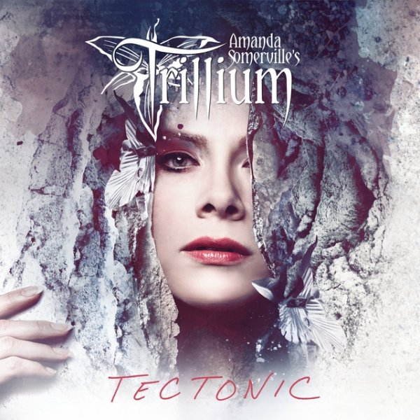 Tectonic - album