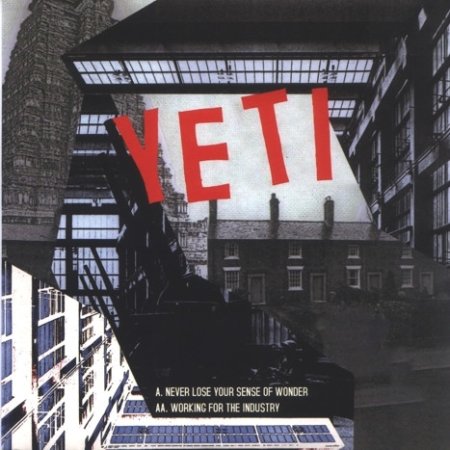 Album Yeti - Never Lose Your Sense Of Wonder / Working For The Industry