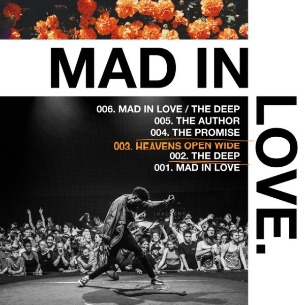 Mad in Love Album 