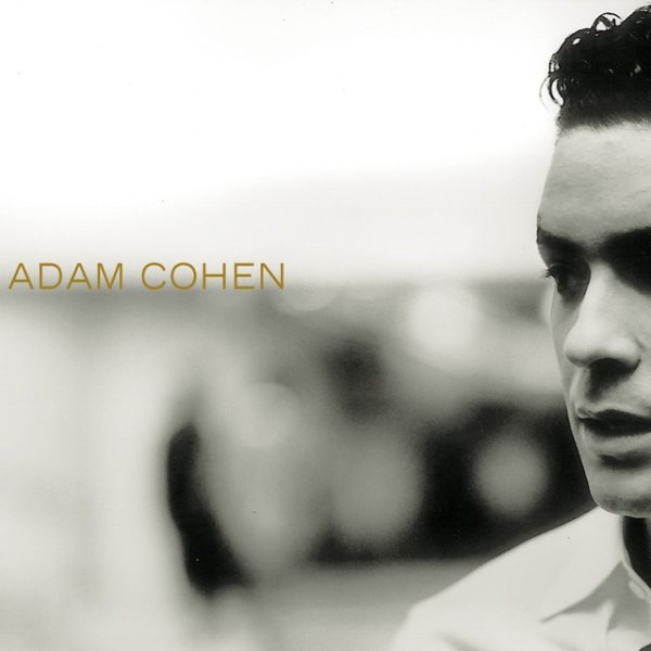 Adam Cohen Album 