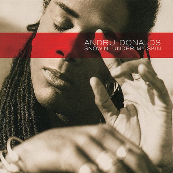 Album Andru Donalds - Snowin