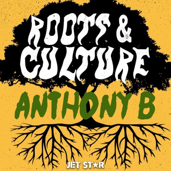 Album Anthony B: Roots & Culture - Anthony B