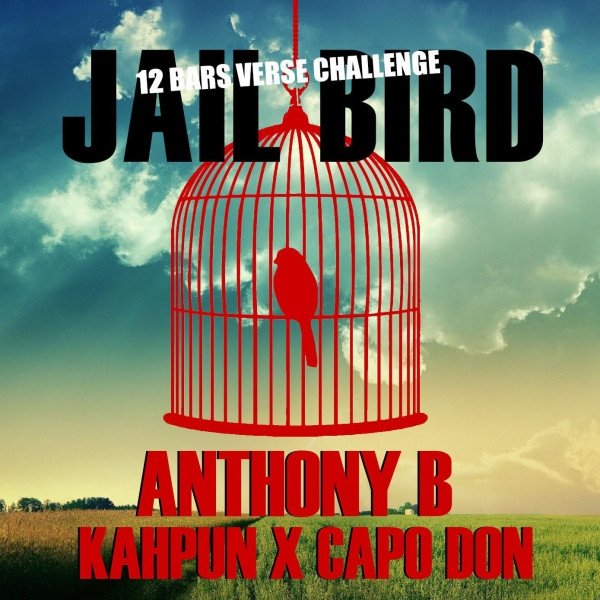 Album Anthony B - Jailbird Riddim