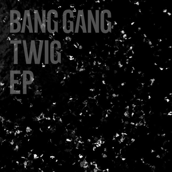 Album Bang Gang - TWIG