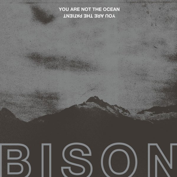 Bison B.C. You Are Not the Ocean You Are the Patient, 2017