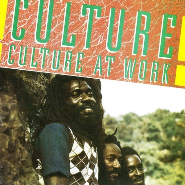 Album Culture - Culture At Work