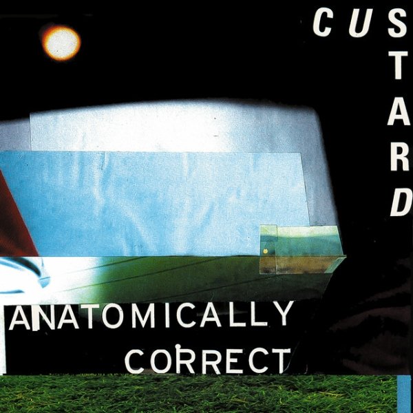 Album Custard - Anatomically Correct