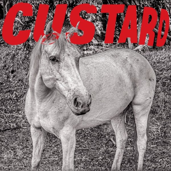 Album Custard - Monday / What Am I Gonna Do