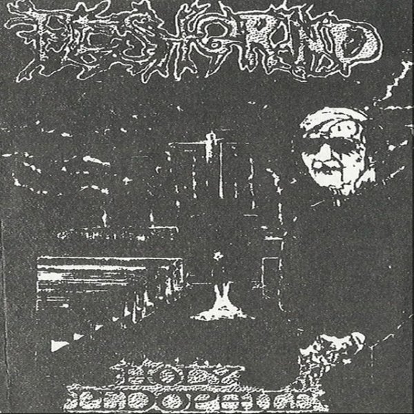Album Fleshgrind - Holy Pedophile