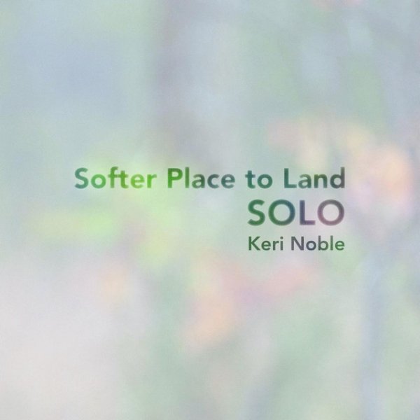 Keri Noble Softer Place to Land - Solo, 2014