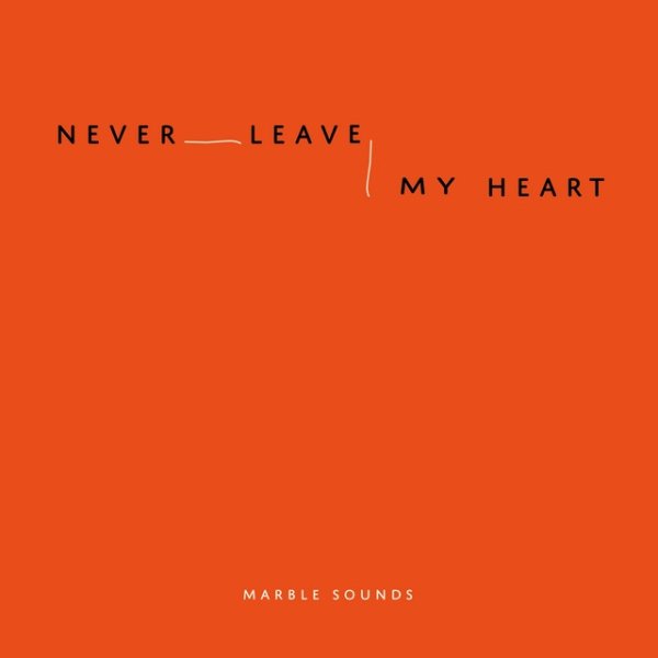 Never Leave My Heart - album