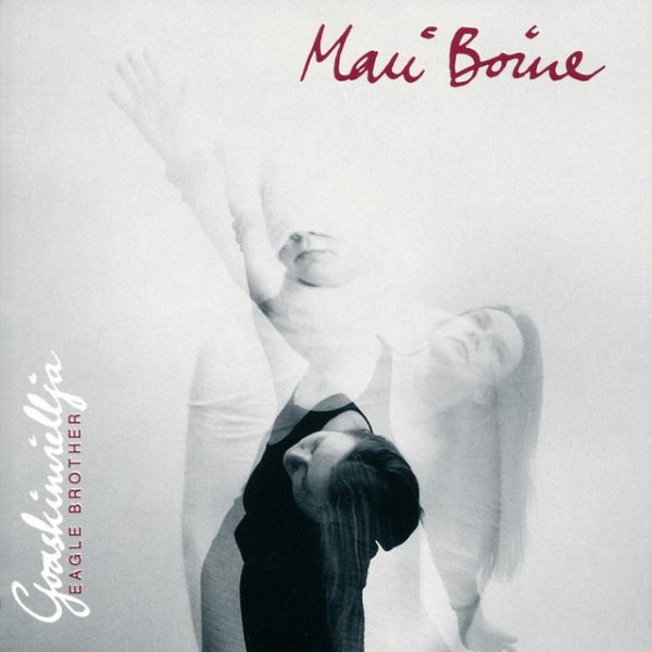 Album Mari Boine - Eagle Brother - Goaskinviellja